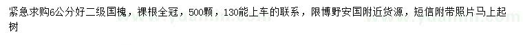求購6公分國槐