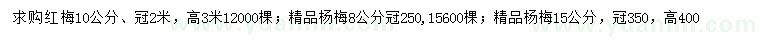 求購10公分紅梅、8、15公分楊梅