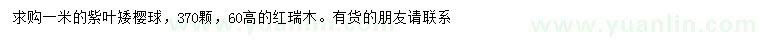 求購1米紫葉矮櫻