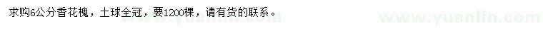 求購6公分香花槐