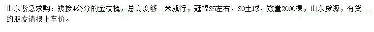 求購4公分金枝槐