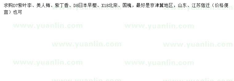 求購紫葉李、美人梅、紫丁香等