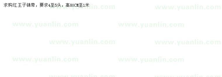 求購(gòu)高80-100公分紅王子錦帶