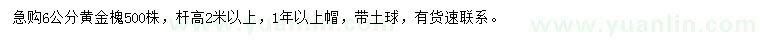 求購(gòu)6公分黃金槐