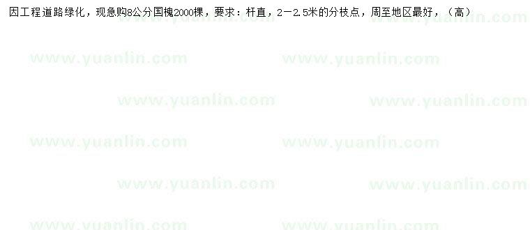 求購8公分國槐