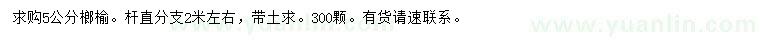 求購5公分榔榆