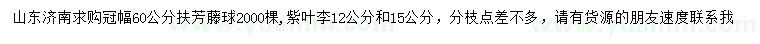 求購(gòu)冠幅60公分扶芳藤球、12、15公分紫葉李