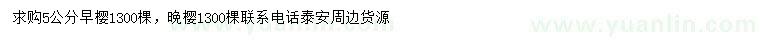 求購5公分早、晚櫻