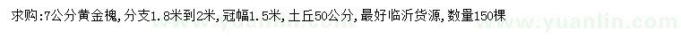 求購7公分黃金槐