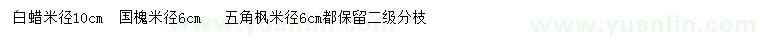 求購白蠟、國槐、五角楓等