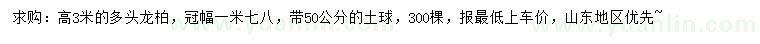 求購高3米龍柏
