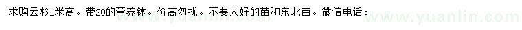 求購高1米云杉