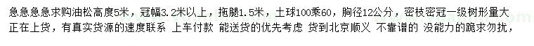 求購高5米油松