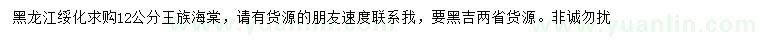 求購12公分王族海棠