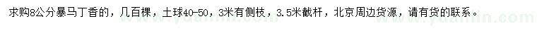 求購8公分暴馬丁香