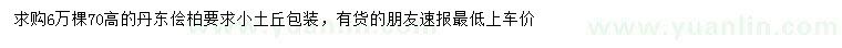 求購(gòu)70高丹東儈柏