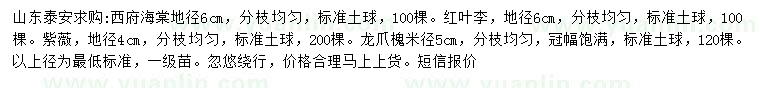 求購地徑6公分西府海棠