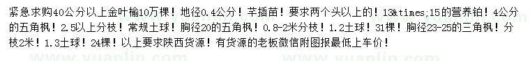 求購(gòu)金葉榆、五角楓、三角楓