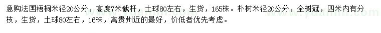 求購米徑20公分法國梧桐