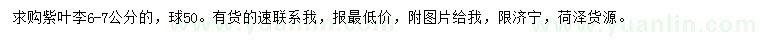 求購6-7公分紫葉李