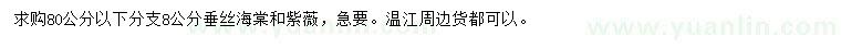 求購8公分垂絲海棠和紫薇