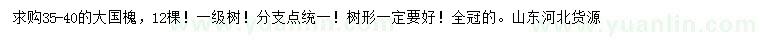 求購35-40公分國槐