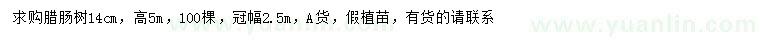 求購4公分臘腸樹