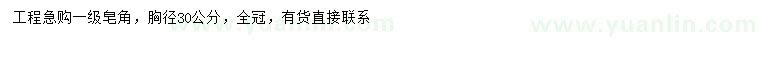 求購胸徑30公分皂角