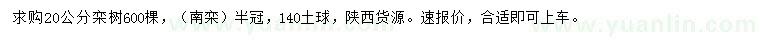 求購20公分欒樹
