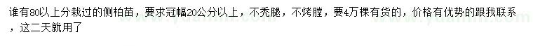 求購80公分以上側(cè)柏