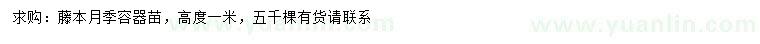 求購高1米藤本月季