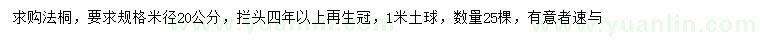 求購米徑20公分法桐