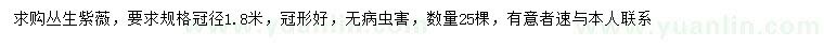 求購冠幅1.8米叢生紫薇