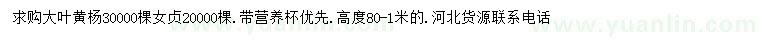 求購高80-100公分大葉黃楊、女貞