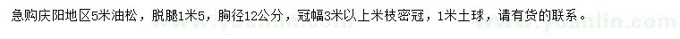 求購5米油松
