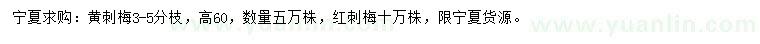 求購高60公分黃刺梅