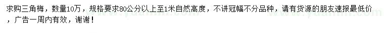 求購80-100公分三角梅
