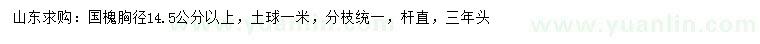 求購胸徑14.5公分以上國槐