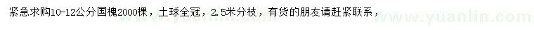 求購10-12公分國槐