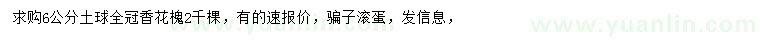 求購6公分香花槐