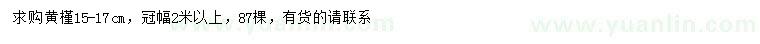 求購15-17公分黃槿