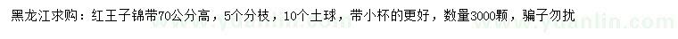 求購高70公分紅王子錦帶