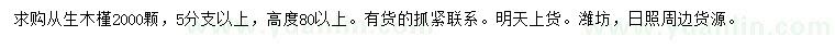 求購高80公分以上從生木槿