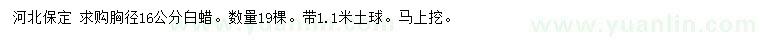 求購胸徑16公分白蠟