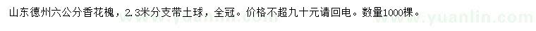 求購6公分香花槐