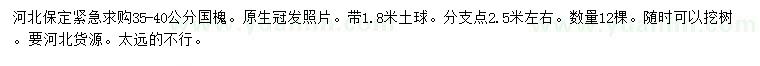 求購(gòu)35-40公分國(guó)槐