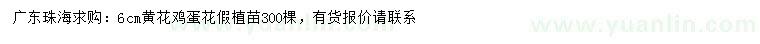 求購6公分黃花雞蛋花