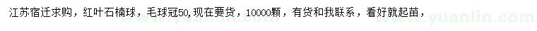 求購冠幅50公分紅葉石楠球