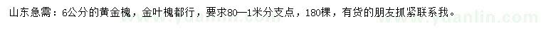 求購6公分黃金槐、金葉槐