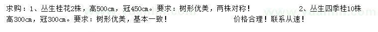 求購高500公分叢生桂花、300公分叢生四季桂